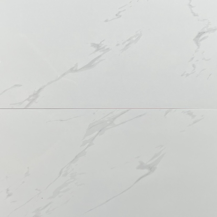 Cipriani Carrara Polished Tile (24x24)