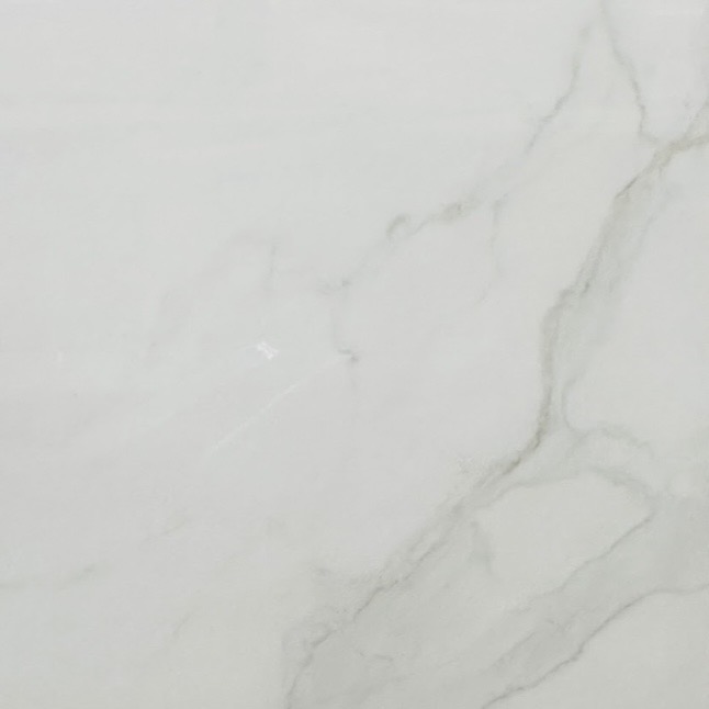 Sienna Bianca Polished Tile (24x48)