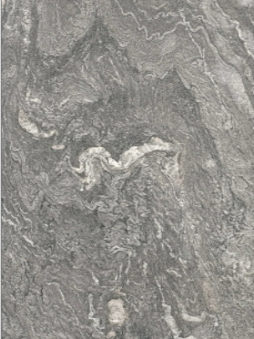 Zen Stone Gray Matte 24" x 48"